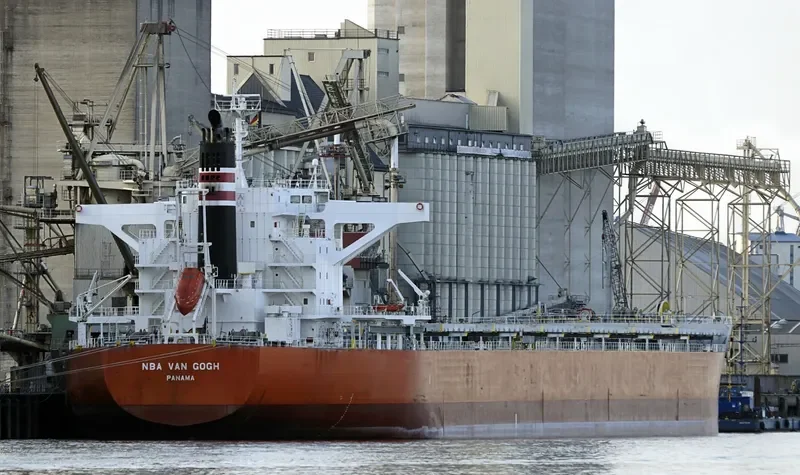NBA VAN GOGH Bulk Carrier IMO 9633109