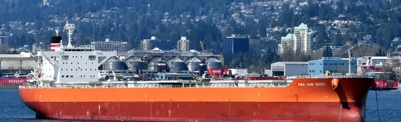 NBA VAN GOGH Bulk Carrier IMO 9633109 photo 2