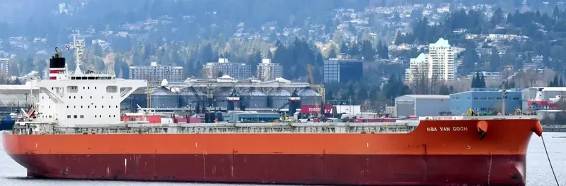 NBA VAN GOGH Bulk Carrier IMO 9633109 photo 5