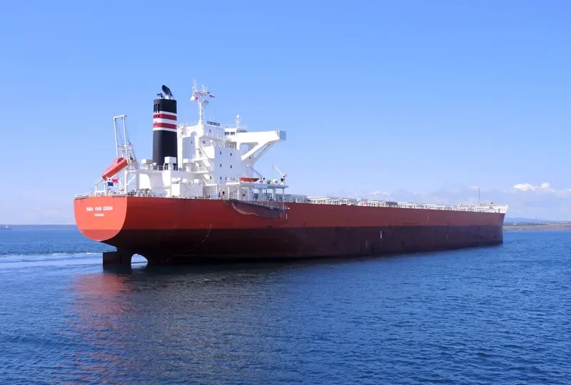 NBA VAN GOGH Bulk Carrier IMO 9633109 photo 8