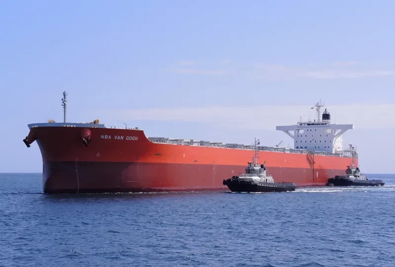 NBA VAN GOGH Bulk Carrier IMO 9633109 photo 9