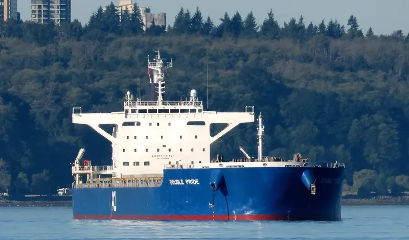 DOUBLE PRIDE Bulk Carrier IMO 9633123 photo 2