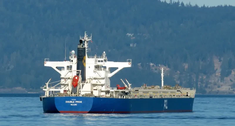 DOUBLE PRIDE Bulk Carrier IMO 9633123 photo 3