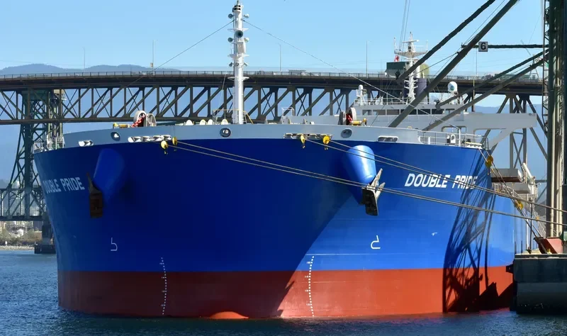 DOUBLE PRIDE Bulk Carrier IMO 9633123 photo 4