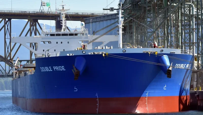 DOUBLE PRIDE Bulk Carrier IMO 9633123 photo 5