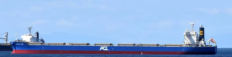 DOUBLE PRIDE Bulk Carrier IMO 9633123 photo 6