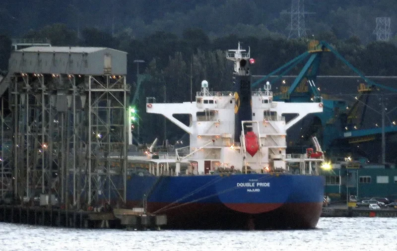 DOUBLE PRIDE Bulk Carrier IMO 9633123 photo 8