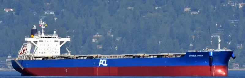 DOUBLE PRIDE Bulk Carrier IMO 9633123 photo 9