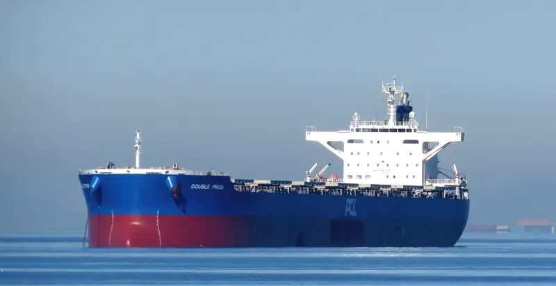 DOUBLE PRIDE Bulk Carrier IMO 9633123 photo 10