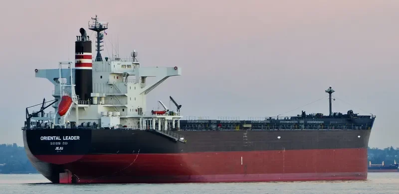 ORIENTAL LEADER Bulk Carrier IMO 9633135 photo 2