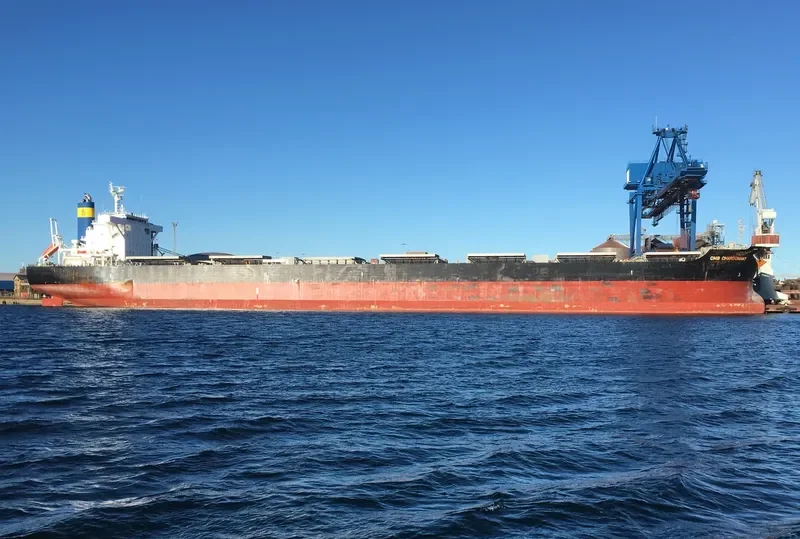 CMB CHARDONNAY Bulk Carrier IMO 9633147 photo 4