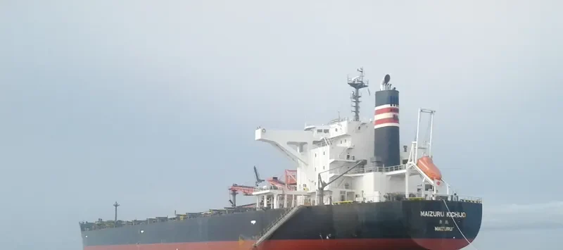 MAIZURU KICHIJO Bulk Carrier IMO 9633159 photo 3