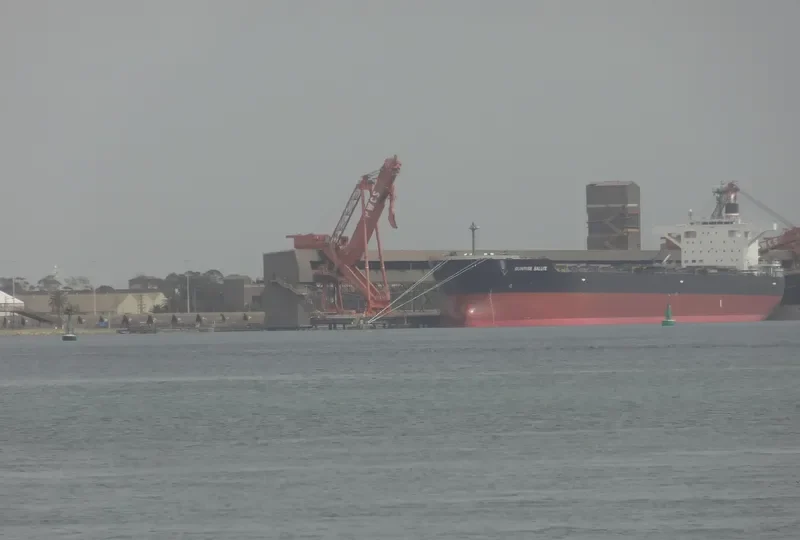 MAIZURU KICHIJO Bulk Carrier IMO 9633159 photo 8
