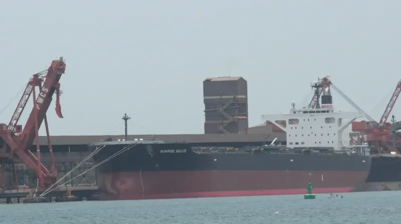 MAIZURU KICHIJO Bulk Carrier IMO 9633159 photo 9