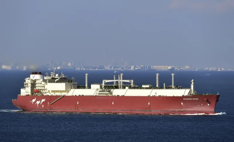 WOODSIDE GOODE General Cargo IMO 9633161