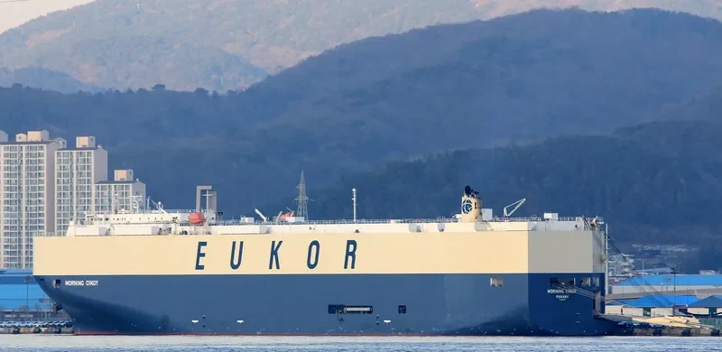 MORNING CINDY General Cargo IMO 9633185