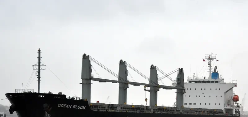 BUCKAROO BOWL Bulk Carrier IMO 9633197