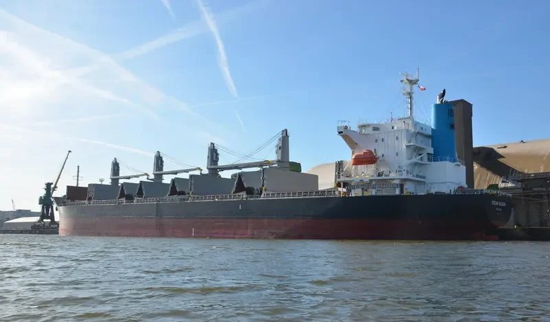 BUCKAROO BOWL Bulk Carrier IMO 9633197 photo 2