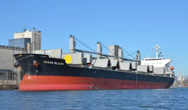 BUCKAROO BOWL Bulk Carrier IMO 9633197 photo 3