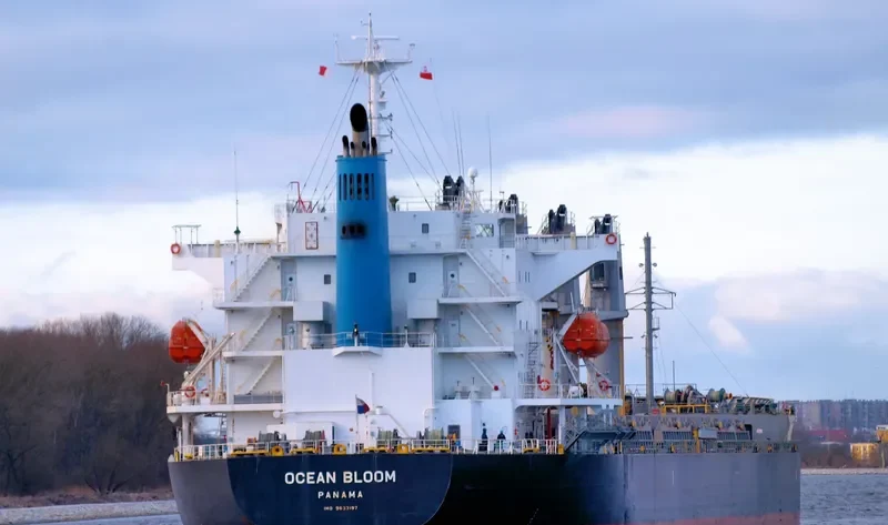 BUCKAROO BOWL Bulk Carrier IMO 9633197 photo 4