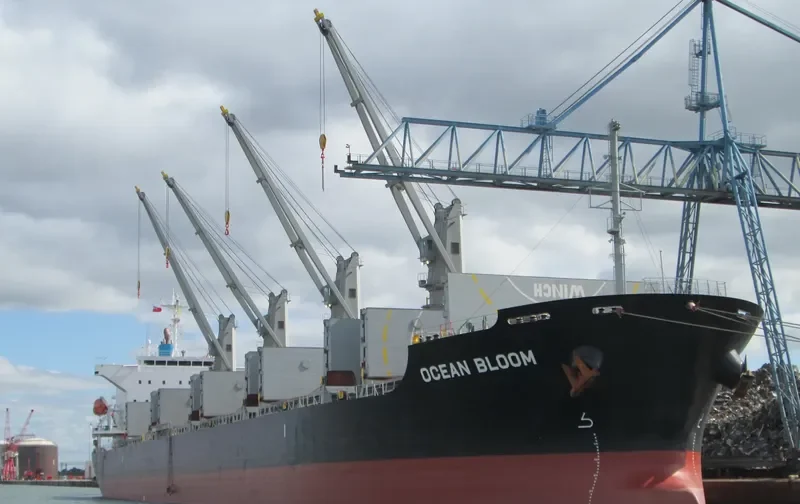 BUCKAROO BOWL Bulk Carrier IMO 9633197 photo 5