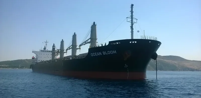 BUCKAROO BOWL Bulk Carrier IMO 9633197 photo 6