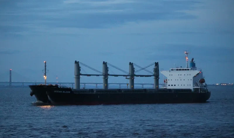 BUCKAROO BOWL Bulk Carrier IMO 9633197 photo 7