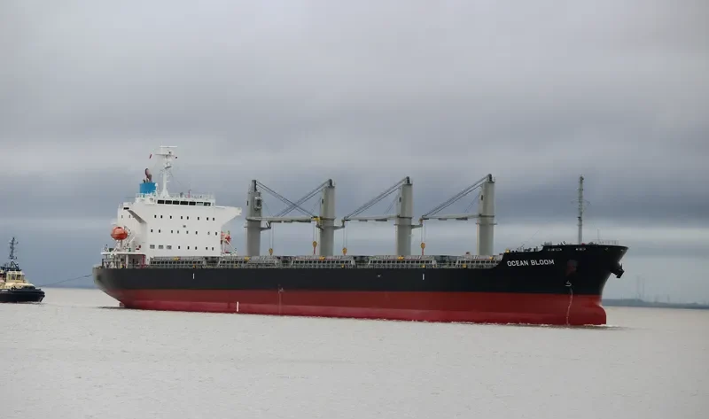 BUCKAROO BOWL Bulk Carrier IMO 9633197 photo 8