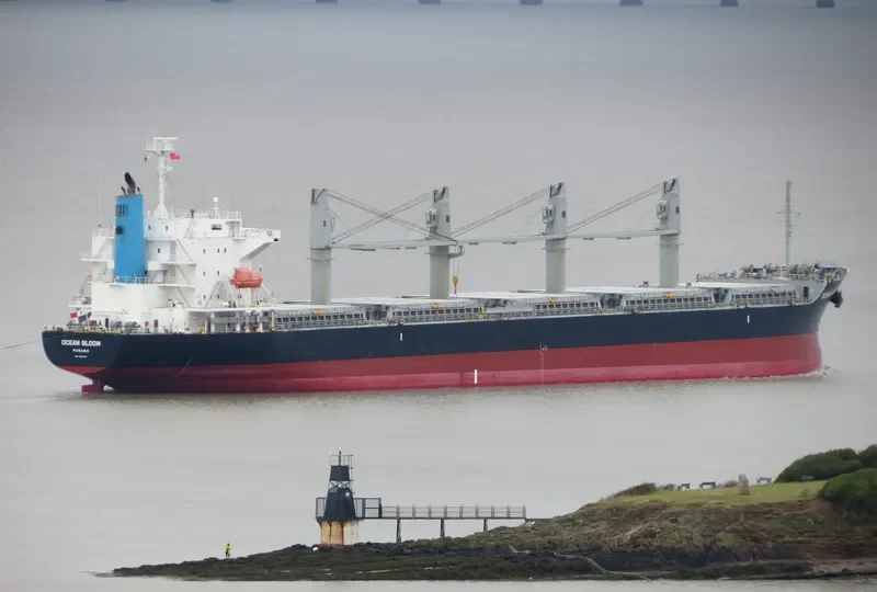 BUCKAROO BOWL Bulk Carrier IMO 9633197 photo 9