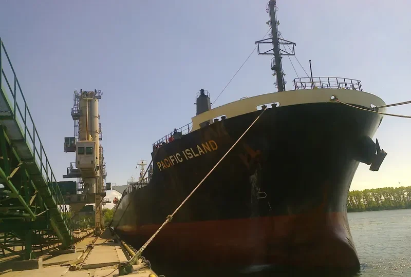PACIFIC ISLAND Bulk Carrier IMO 9633202 photo 3
