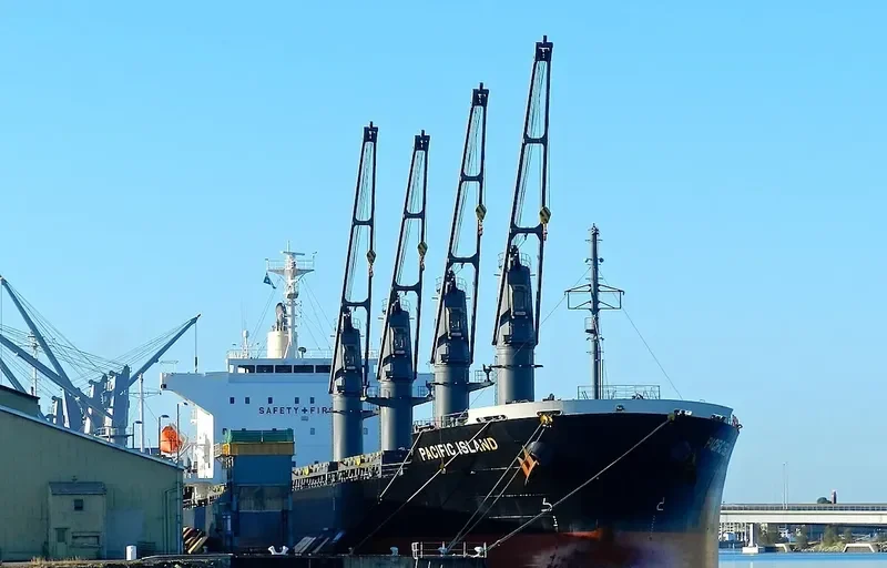 PACIFIC ISLAND Bulk Carrier IMO 9633202 photo 5
