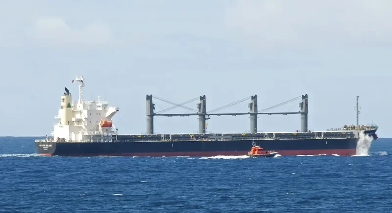 PACIFIC ISLAND Bulk Carrier IMO 9633202 photo 6