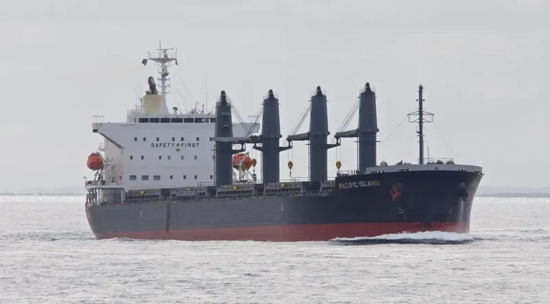 PACIFIC ISLAND Bulk Carrier IMO 9633202 photo 7