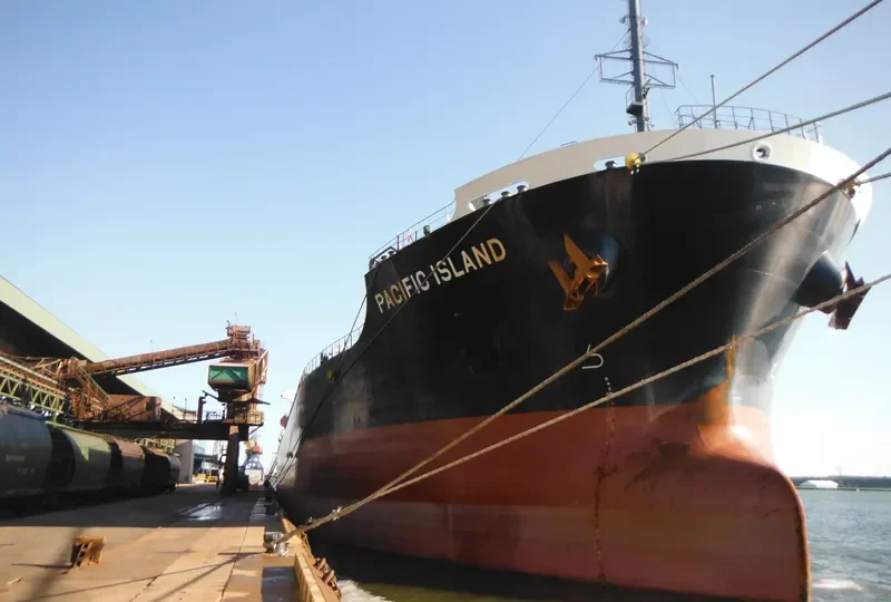 PACIFIC ISLAND Bulk Carrier IMO 9633202 photo 9