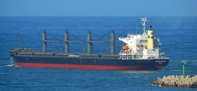 PACIFIC ISLAND Bulk Carrier IMO 9633202 photo 10