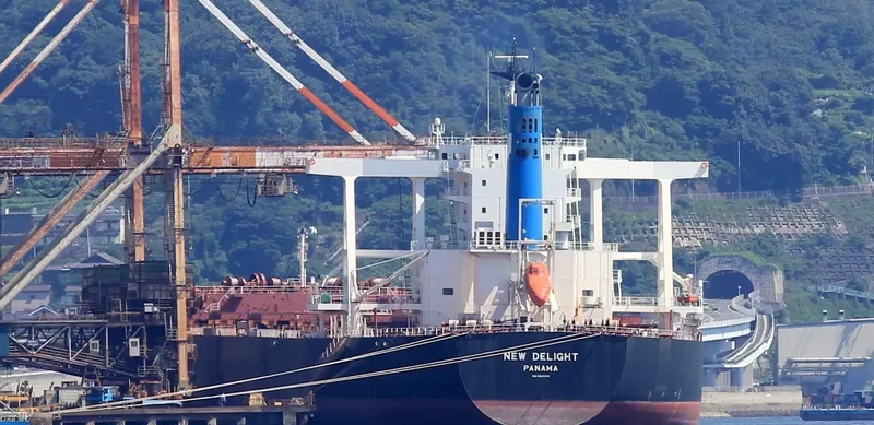 NEW DELIGHT Bulk Carrier IMO 9633214