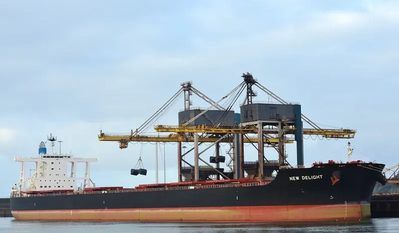 NEW DELIGHT Bulk Carrier IMO 9633214 photo 2
