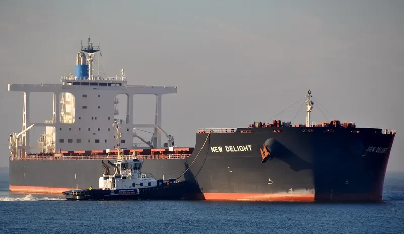 NEW DELIGHT Bulk Carrier IMO 9633214 photo 6
