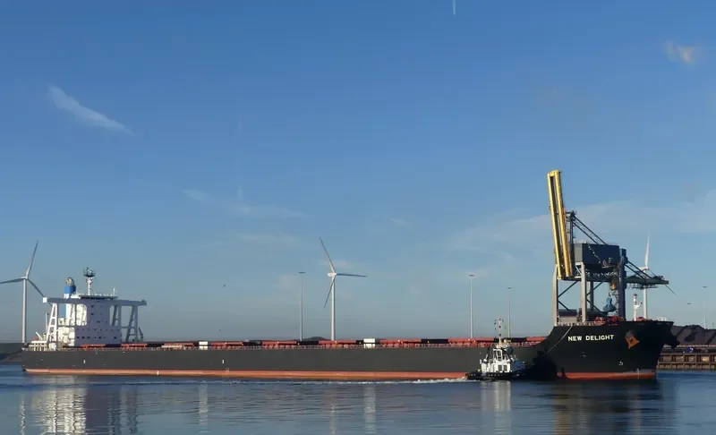 NEW DELIGHT Bulk Carrier IMO 9633214 photo 7