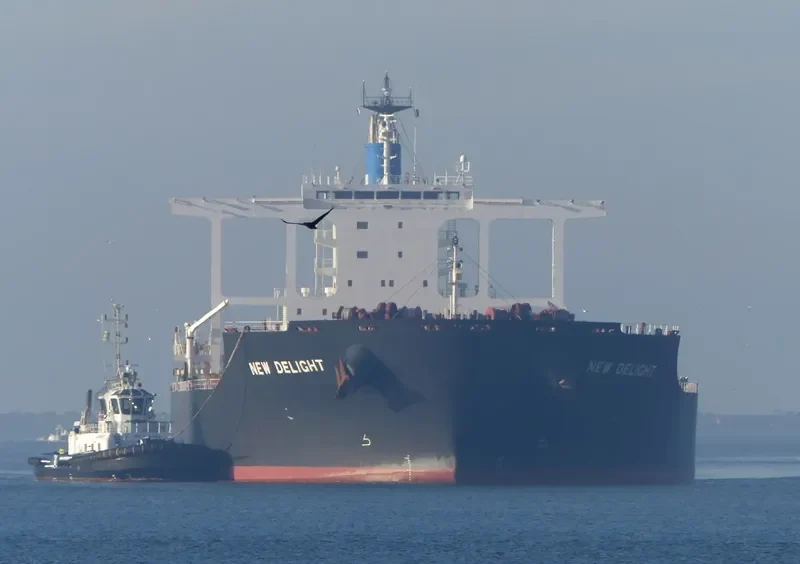 NEW DELIGHT Bulk Carrier IMO 9633214 photo 8