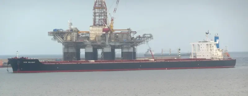 NEW DELIGHT Bulk Carrier IMO 9633214 photo 10