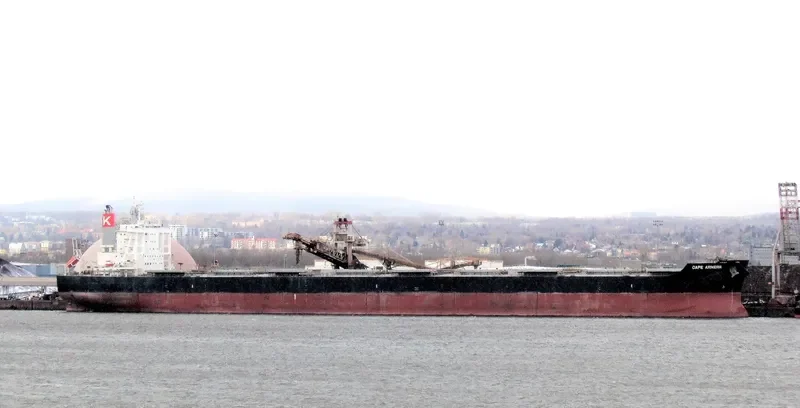 CAPE ARMERIA Bulk Carrier IMO 9633226