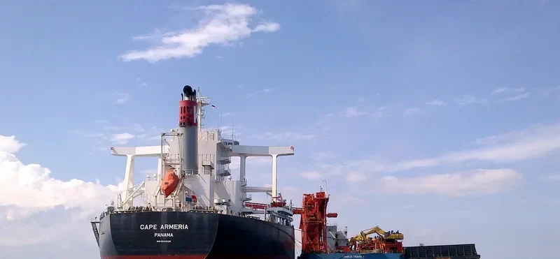 CAPE ARMERIA Bulk Carrier IMO 9633226 photo 2