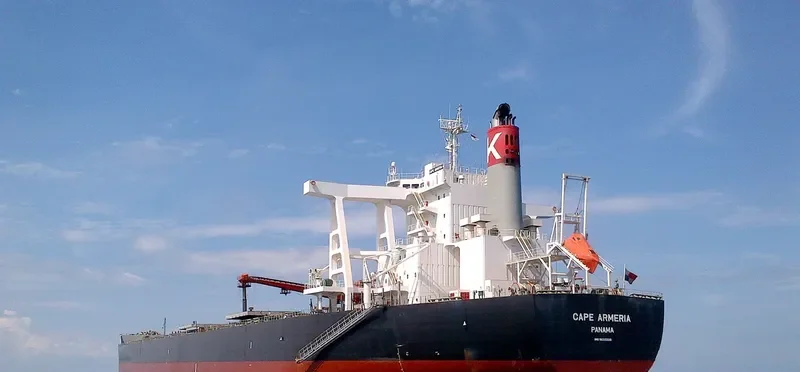 CAPE ARMERIA Bulk Carrier IMO 9633226 photo 3