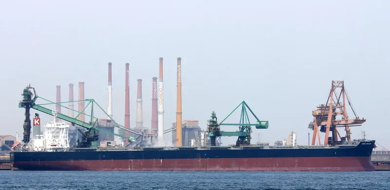 CAPE ARMERIA Bulk Carrier IMO 9633226 photo 6