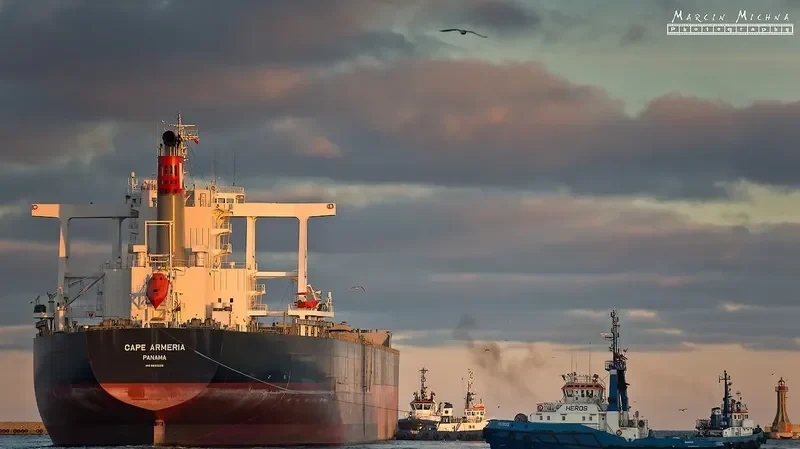 CAPE ARMERIA Bulk Carrier IMO 9633226 photo 8