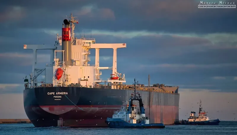 CAPE ARMERIA Bulk Carrier IMO 9633226 photo 10
