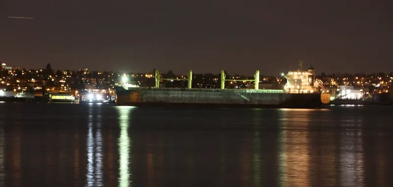 TAI SHINE Bulk Carrier IMO 9633264