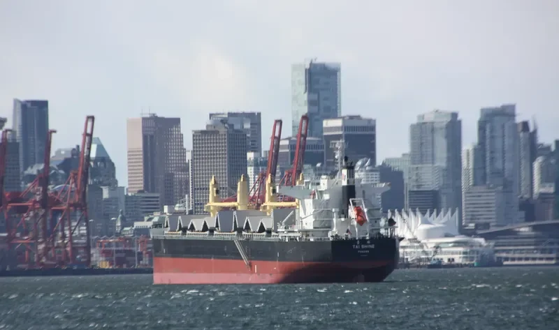 TAI SHINE Bulk Carrier IMO 9633264 photo 2