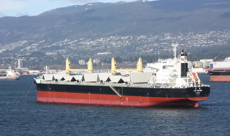 TAI SHINE Bulk Carrier IMO 9633264 photo 3